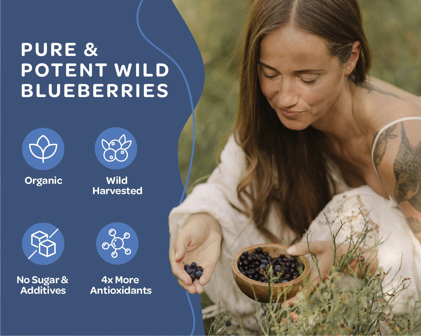 Blauwe bessenpoeder - Wild & gevriesdroogd