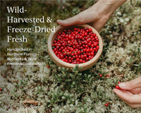 Lingonberrypoeder - Gevriesdroogde Lingonberries