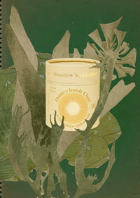 Honeybush Chai - Wilde Kruiden Infusie