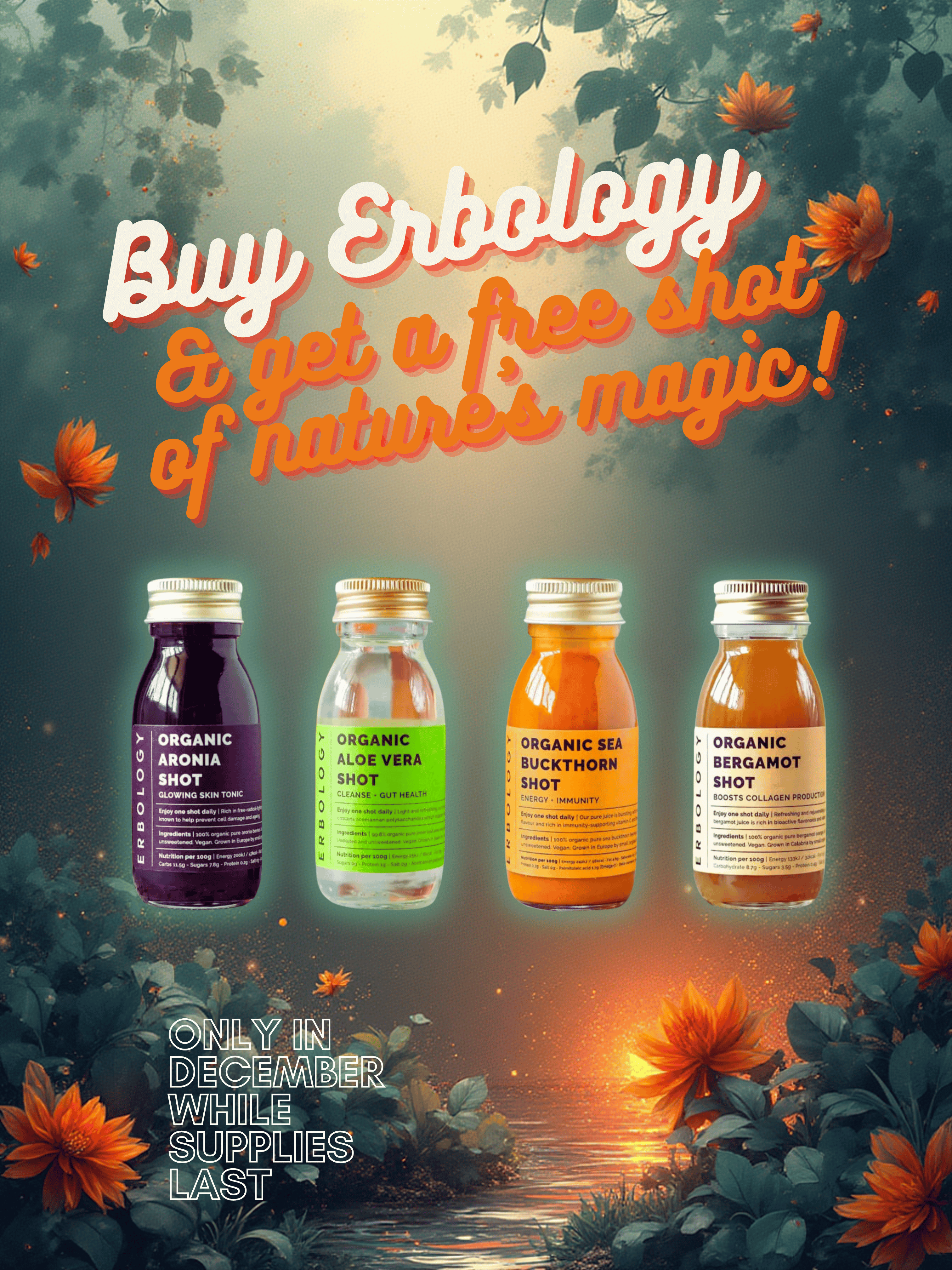 Celebrate Plant Power: December Erbology Rituals at Farmatuur