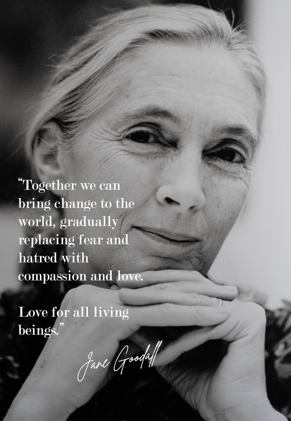 Jane Goodall, a life that changed how we see the living world