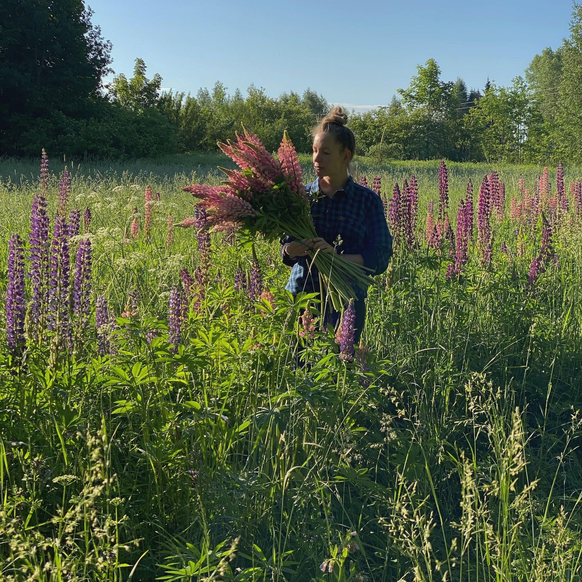 Laura Kreišmane and DABBA, Northern Plants, A Founder’s Quiet Revolution