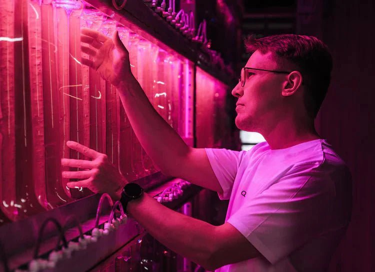 Astaxanthin for athletes: Performance & Recovery Review - Farmatuur