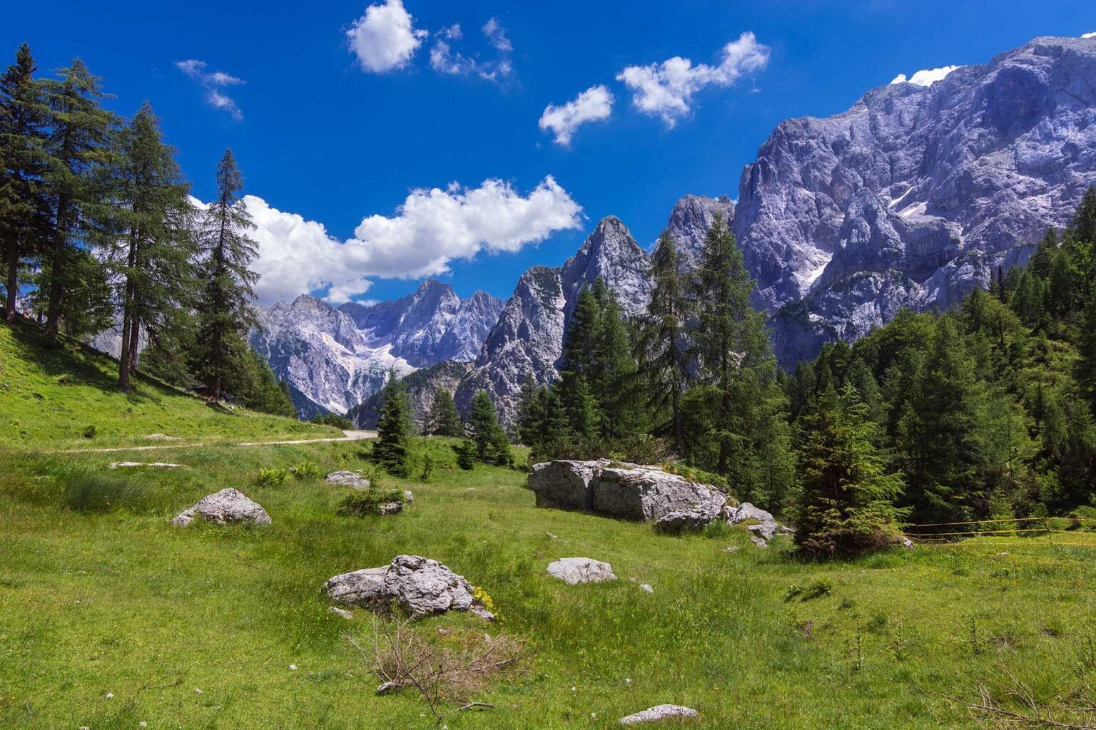 Hanuman Herbs, A Small Mountain Farm Where Herbs Keep Their Stories - Farmatuur