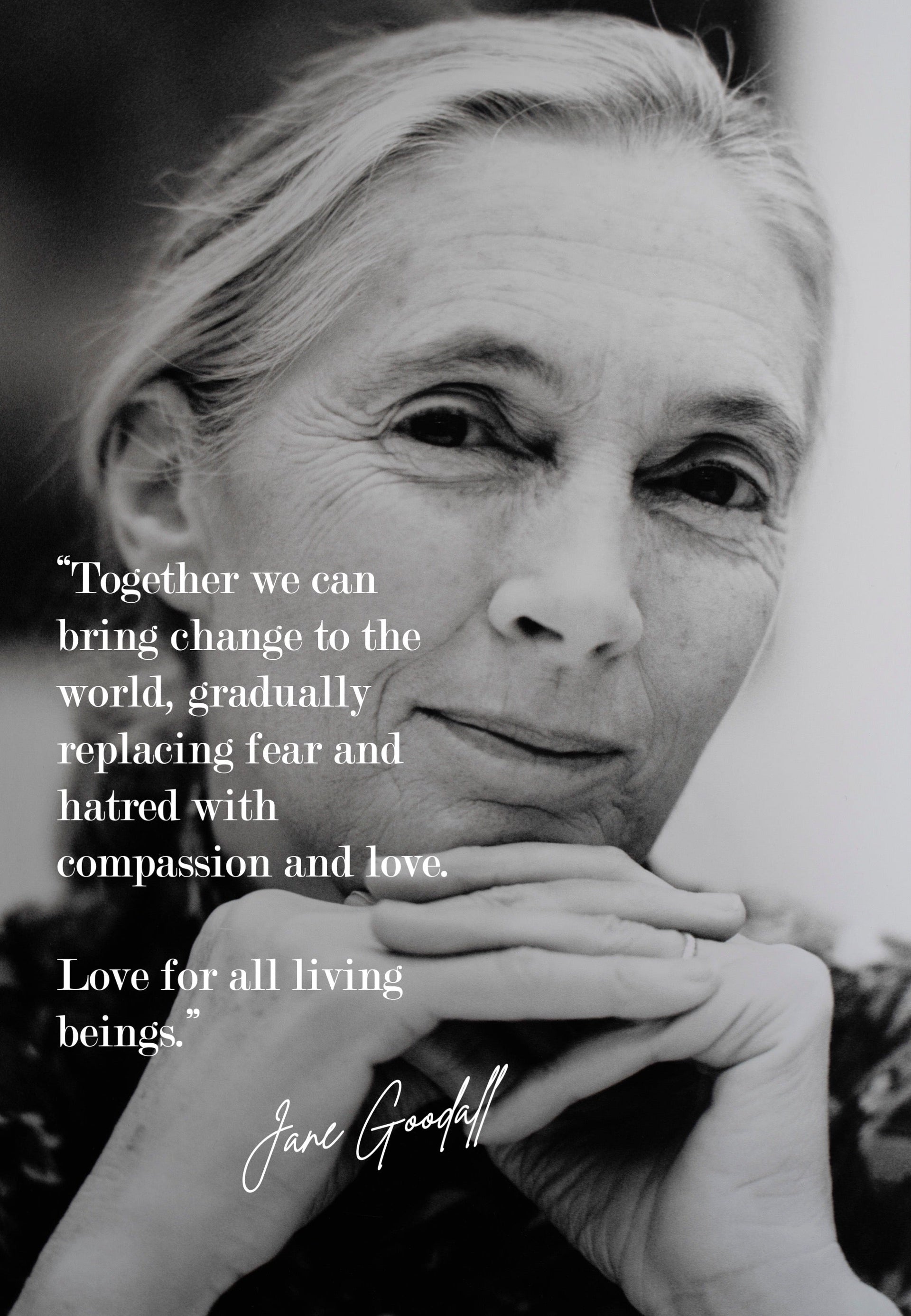 Jane Goodall, a life that changed how we see the living world - Farmatuur