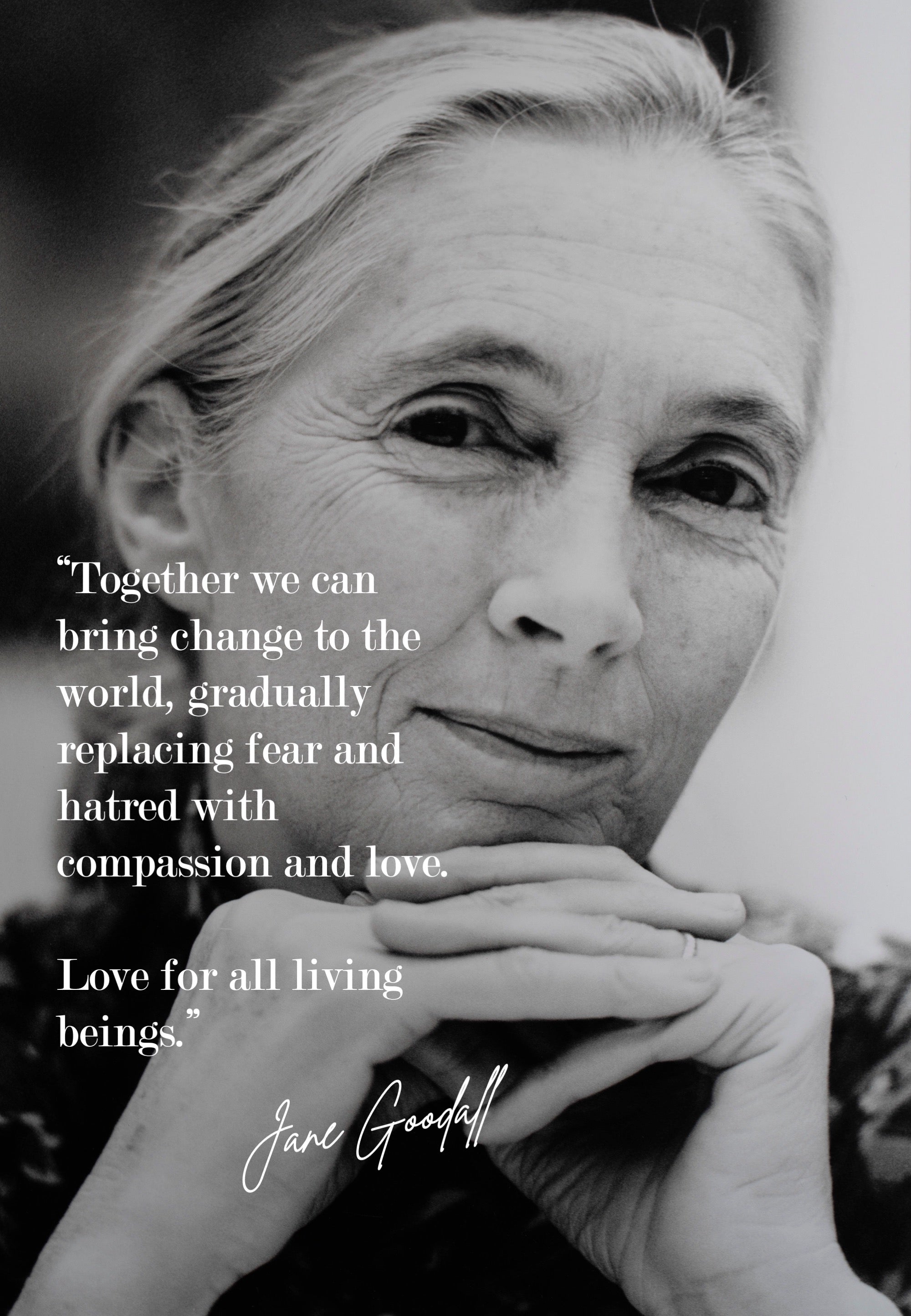 Jane Goodall, a life that changed how we see the living world - Farmatuur