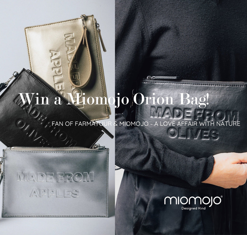 Win a Miomojo Orion Bag