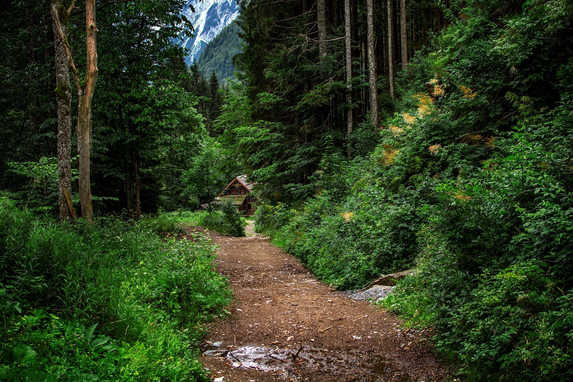 Queen Nature’s Curated Wonders