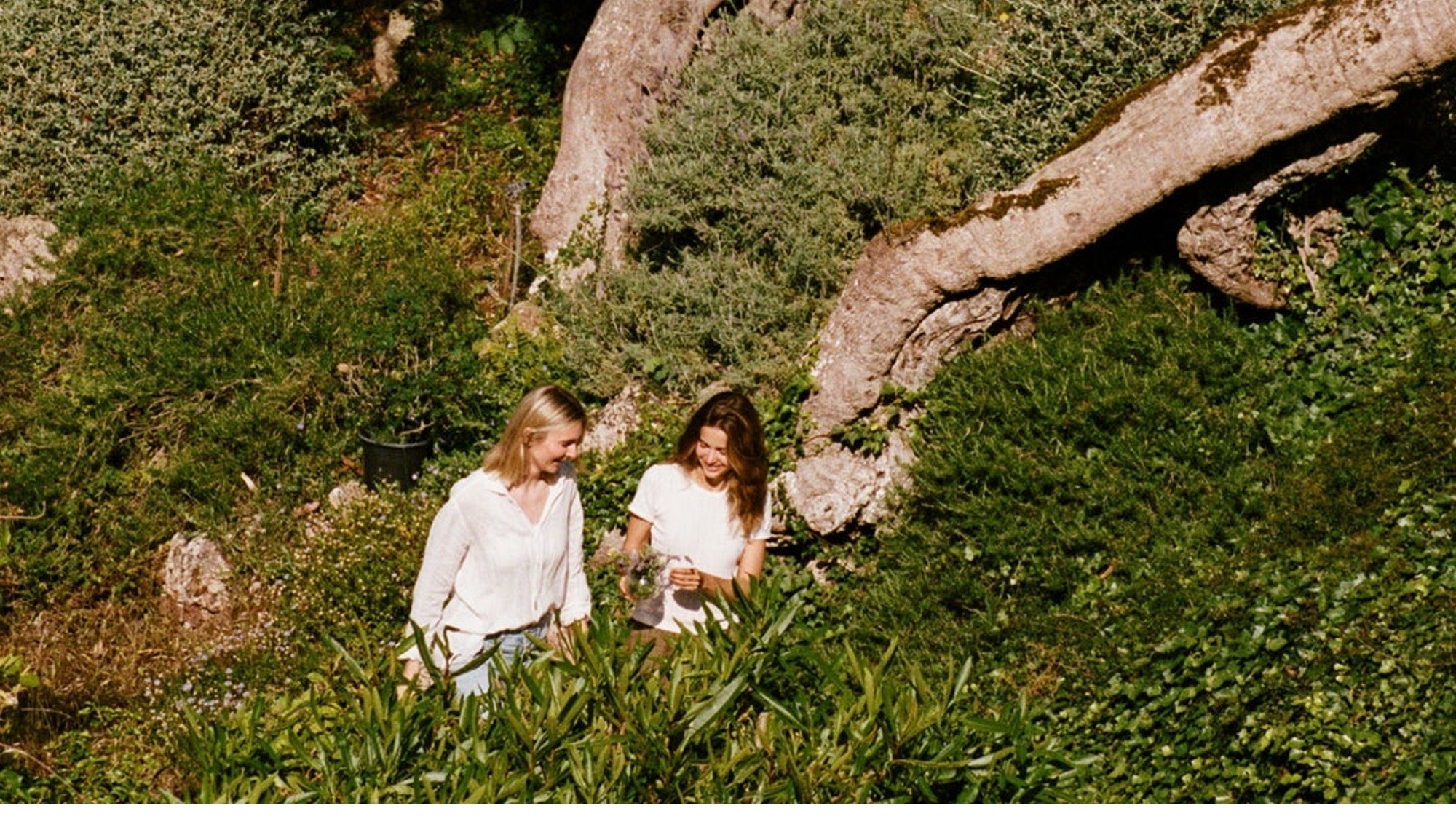 Personal Fragrances - Farmatuur