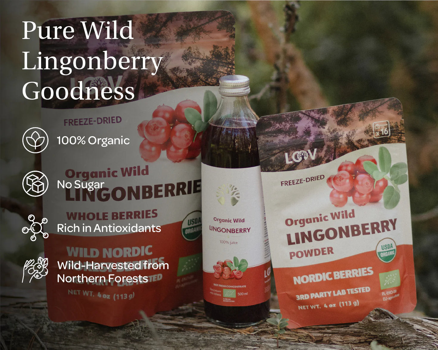 Lingonberry Powder - Freeze Dried Lingonberries