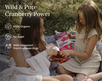 Biologisch cranberrypoeder - gevriesdroogde cranberries