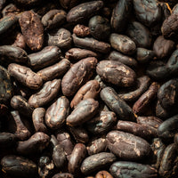 Unroasted Cacao Beans