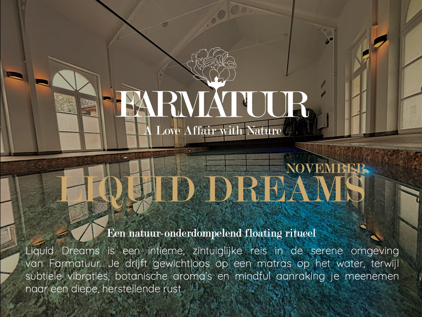 Liquid Dreams TICKET (November Edition)