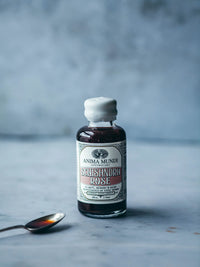 SCHISANDRA ROSE Elixir | Quintessence of Tonic Herbs