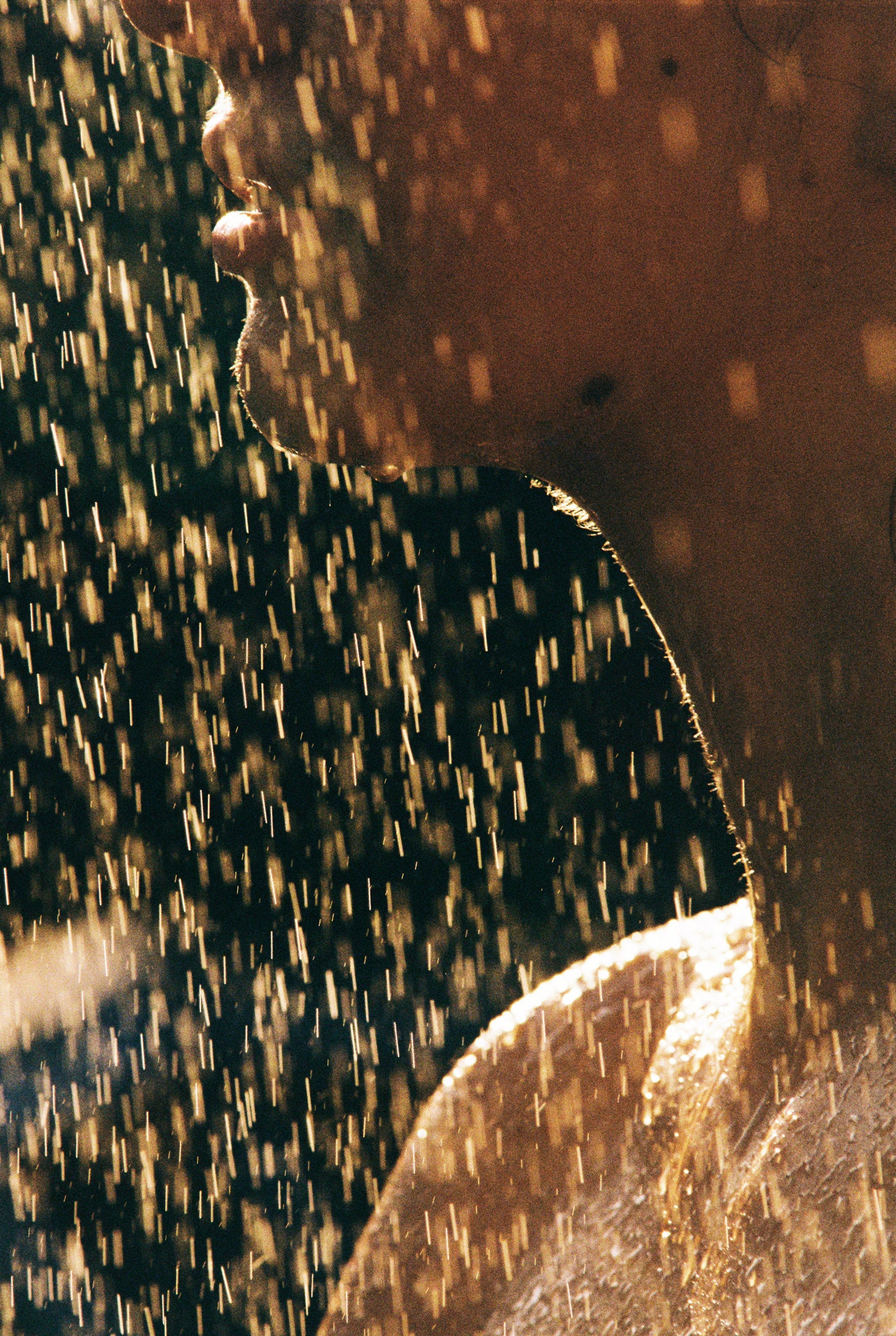 Ayurvedic Body Oil Luce