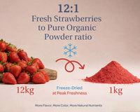 Organic Strawberry Powder - Whole-Fruit Fibre, Polyphenols & Naturally Sweet Nourishment