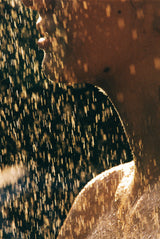 Ayurvedic Body Oil Luce - Farmatuur