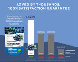 Blueberry Powder - Wild & Freeze Dried - Farmatuur