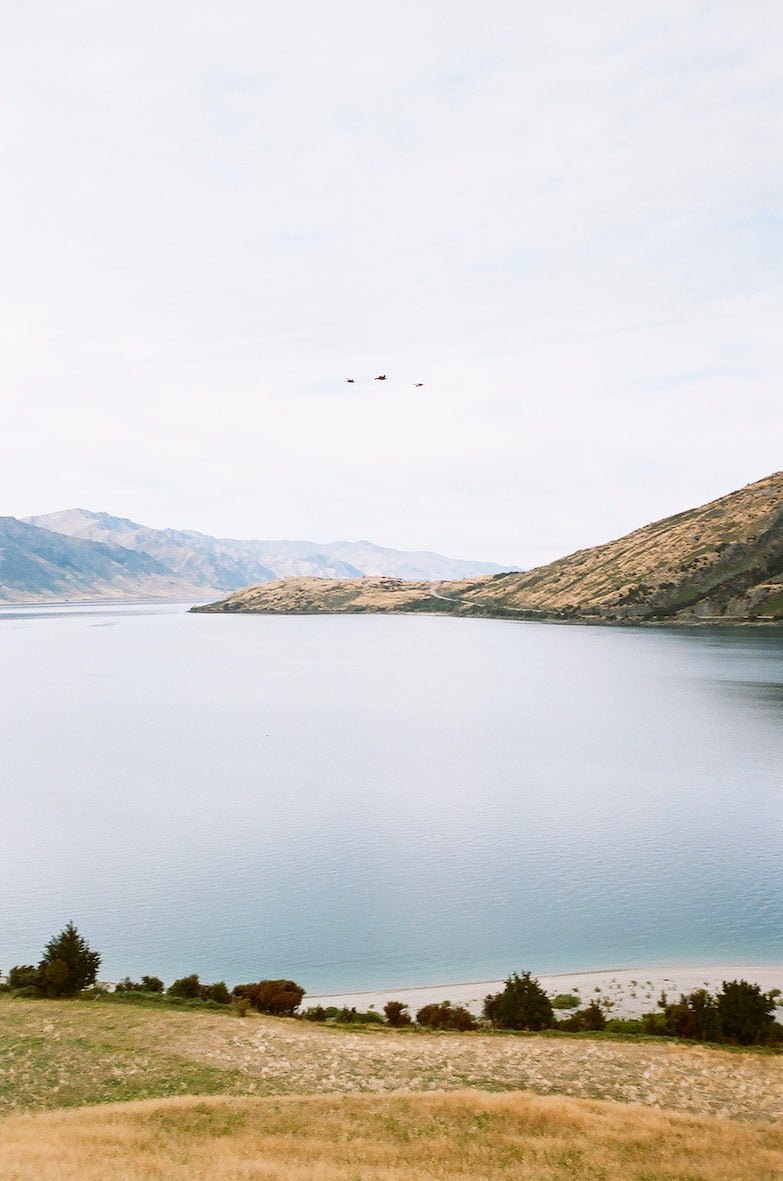 Calor Perfume Oil - Farmatuur