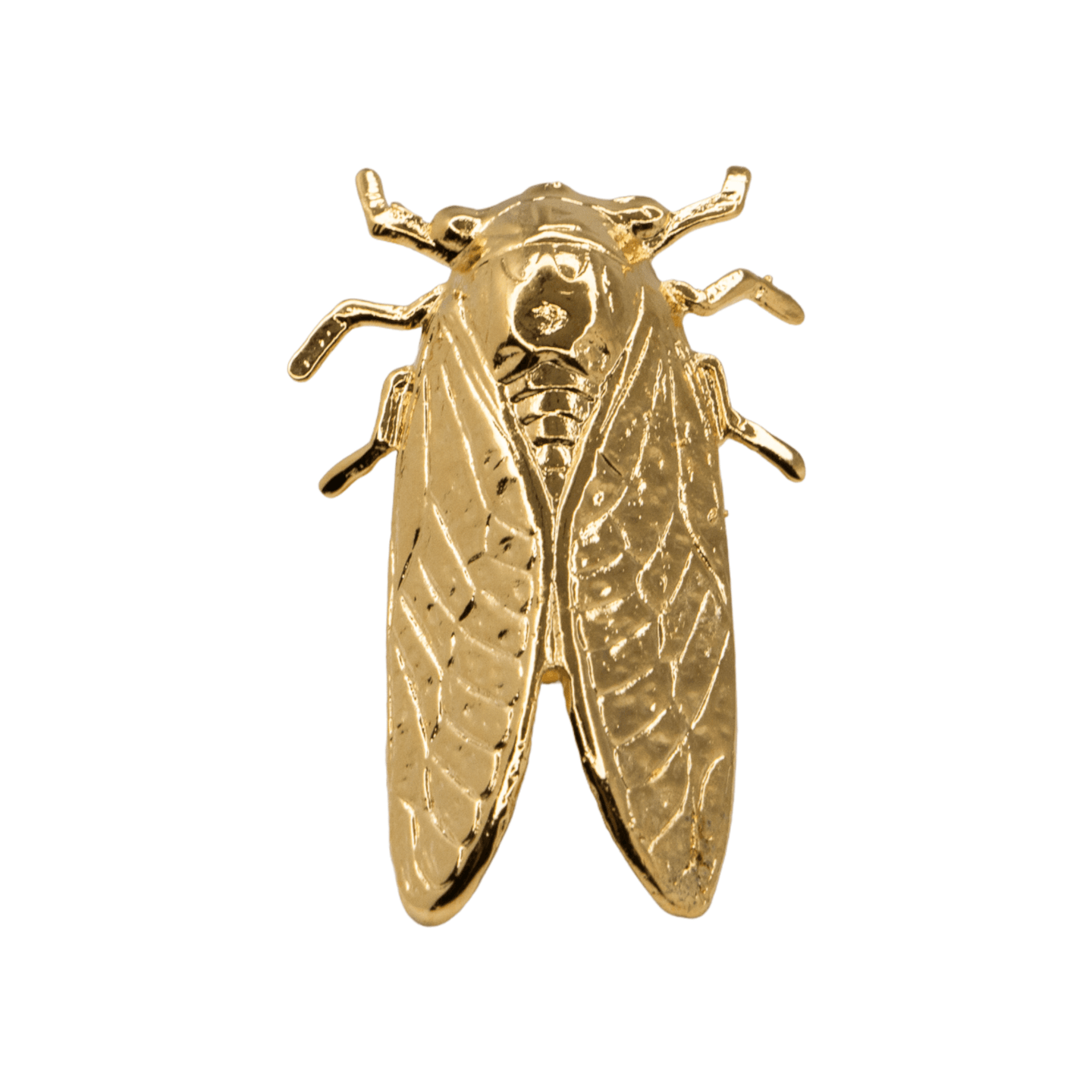 Cicada Ring - Farmatuur