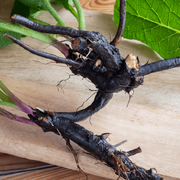 Comfrey ointment - Farmatuur