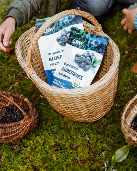 Blueberry Powder - Wild & Freeze Dried