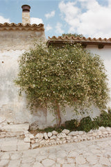 Flora Perfume Oil - Farmatuur