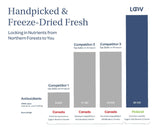 Freeze Dried Blueberries - Wild & Organic - Whole Berries - Farmatuur