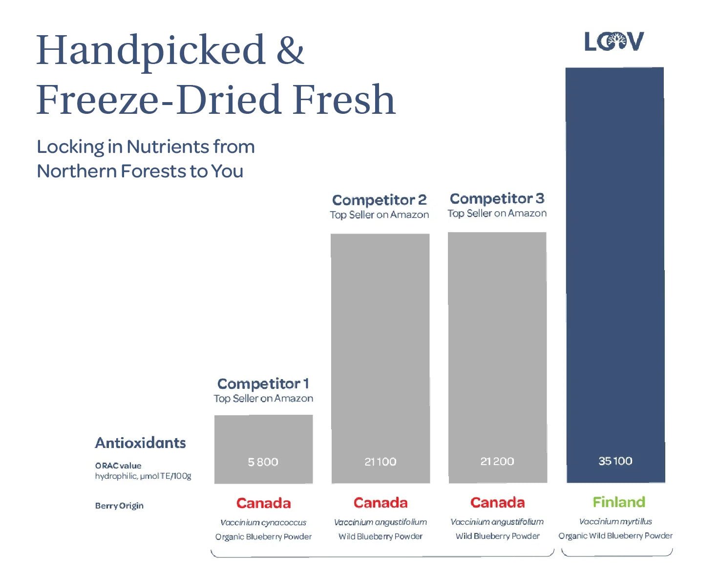 Freeze Dried Blueberries - Wild & Organic - Whole Berries - Farmatuur