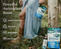 Freeze Dried Blueberries - Wild & Organic - Whole Berries - Farmatuur