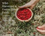 Lingonberry Powder - Freeze Dried Lingonberries - Farmatuur