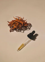 Liquid Cordyceps Extract - Farmatuur