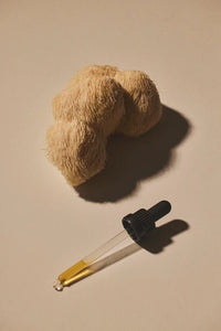 Liquid Lion's Mane Extract - Farmatuur