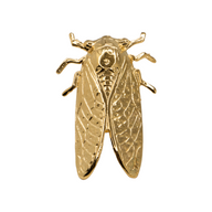 Cicada Ring