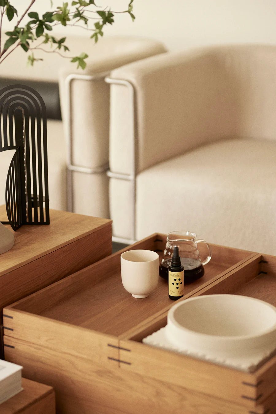 Morning Pack - Mushroom Liquid Extract - Farmatuur