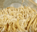 Organic Cordyceps Powder - Farmatuur