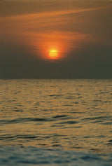 Sunset Essential Oil Blend - Farmatuur