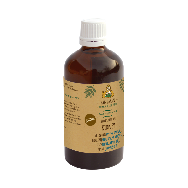 Tincture "Kidney"