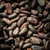 Unroasted Cacao Beans - Farmatuur