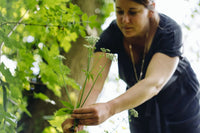 Vent du Sud - Farmatuur